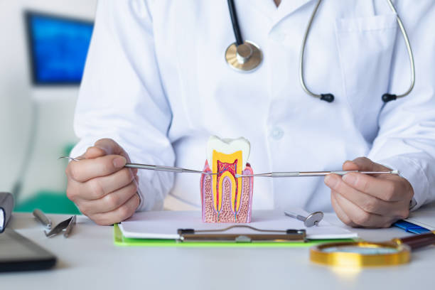 Best Emergency Dental Extractions in Miamitown, OH